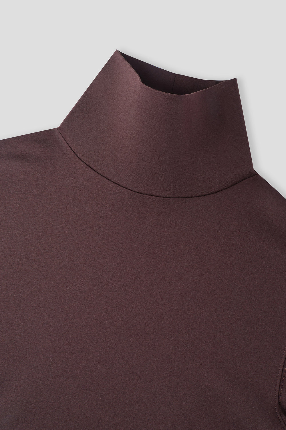 Merino-Blend Turtleneck Long Sleeve T-Shirt | Deep Brown PT1106